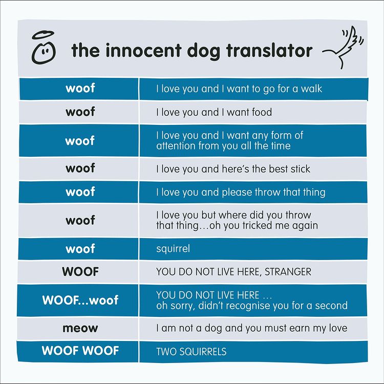 dog translator chart