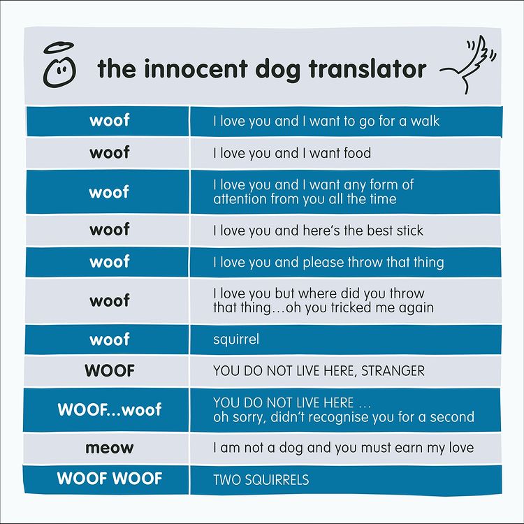 dog translator