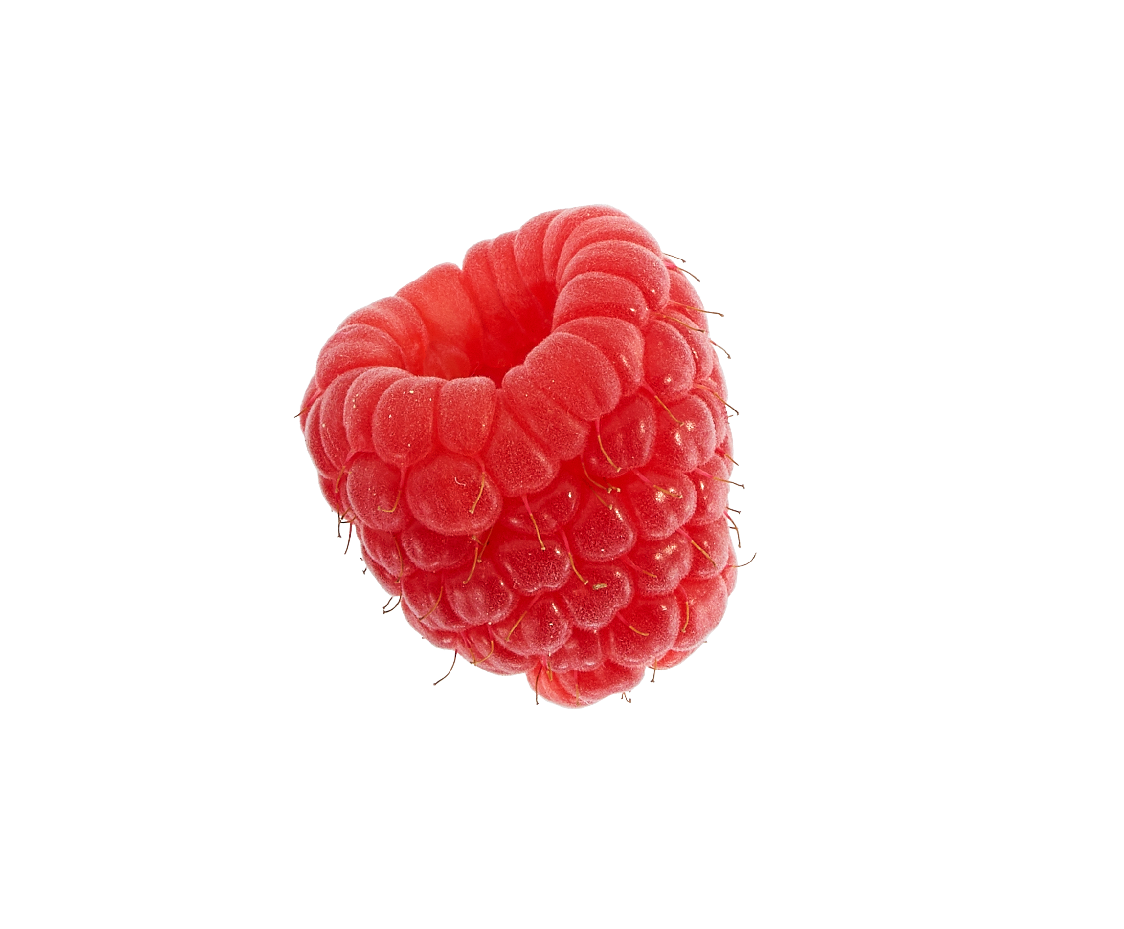raspberry