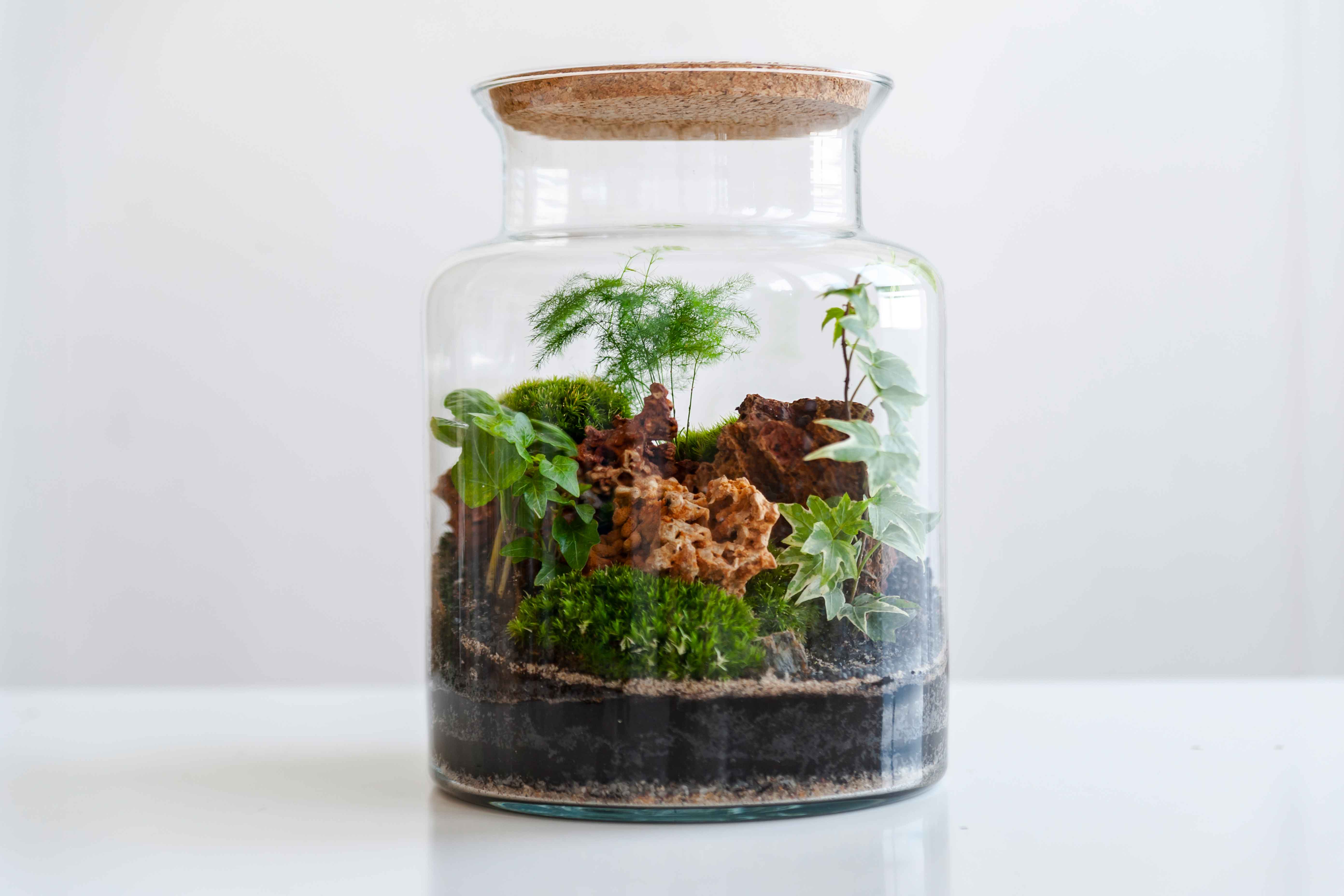 biosphere