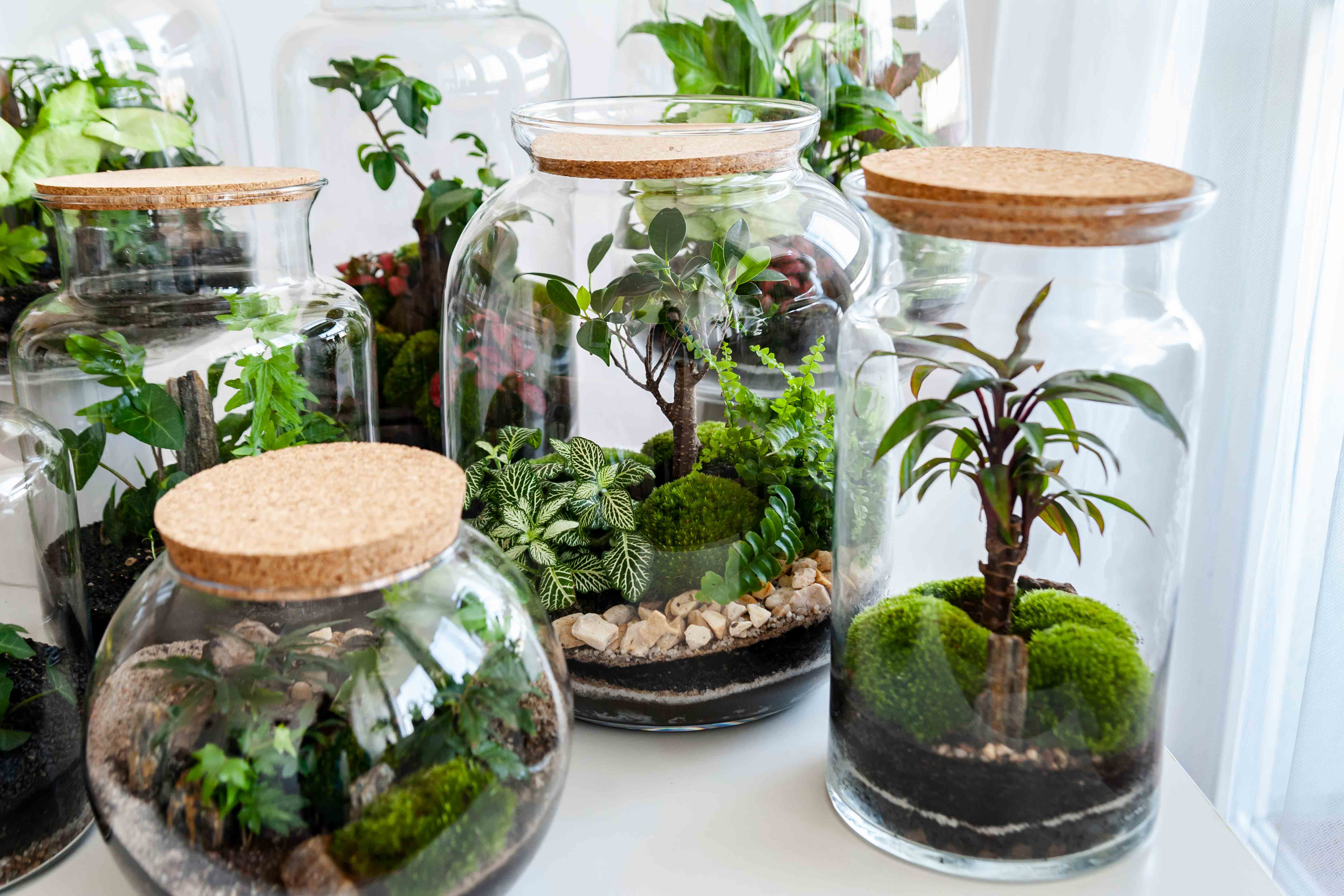 InnocentDrinks, biosphere, header