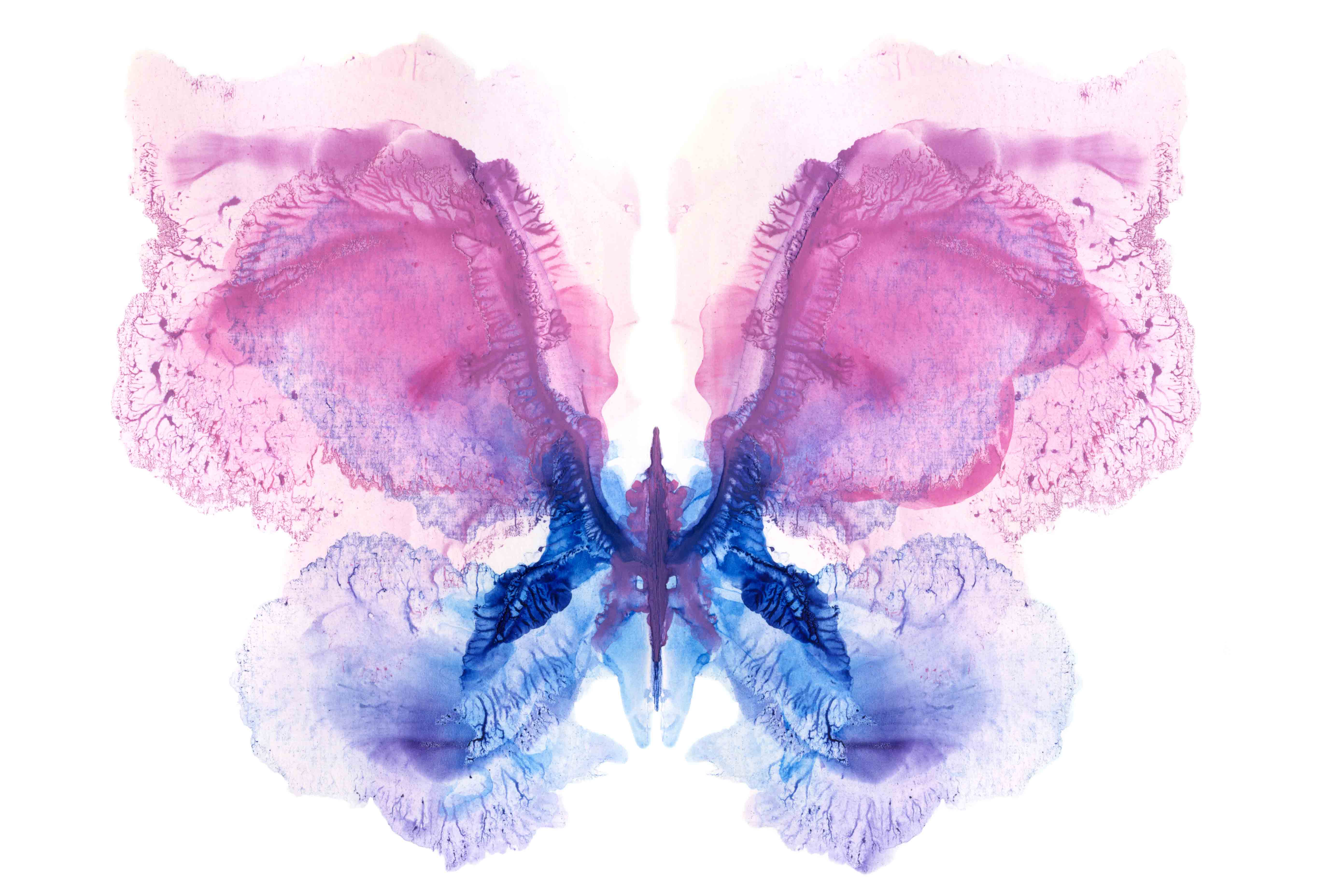 butterfly print